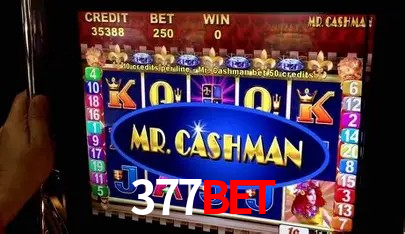 Especiais de Fim de Semana 377bet