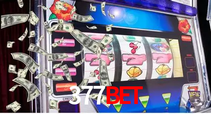 Recursos de Bônus 377bet