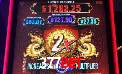 Casino Ao Vivo 377bet