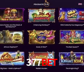 Casino Ao Vivo 377bet